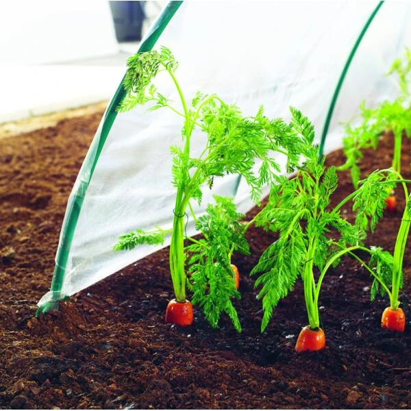 Kweekfolie / Tunnelfolie - 2 × 10 M 4 Kweekfolie / Tunnelfolie - 2 × 10 M - Afbeelding 2