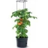 Tomaten Kweekpot Met Groeisteun - 12 Liter 2 Tomaten Kweekpot Met Groeisteun - 12 Liter -Tuindecoratie Winkel 1649410567 1 600