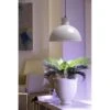 Groeilamp Led Florabooster 500 - 6,5W - Wit 2 Groeilamp Led Florabooster 500 - 6,5W - Wit -Tuindecoratie Winkel 1677504262 1 600