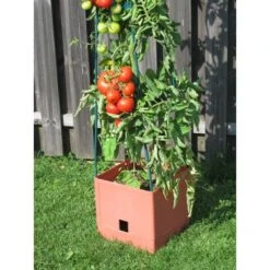 Plantentoren Maxitom Met Waterreservoir - Terracotta -Tuindecoratie Winkel 1677510667 3 600