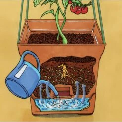 Plantentoren Maxitom Met Waterreservoir - Terracotta -Tuindecoratie Winkel 1677510668 5 600