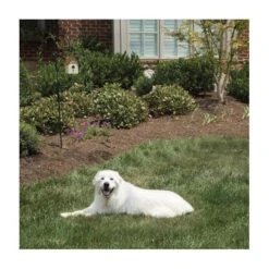 Pet Safe Outdoor Anti-blafhuisje 10 Pet Safe Outdoor Anti-blafhuisje -Tuindecoratie Winkel antiblafhuisje 1484054468 4 600