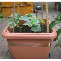 Anti-slakken Kopertape 4 M 10 Anti-slakken Kopertape 4 M -Tuindecoratie Winkel antislakken kopertape 1484052941 3 600