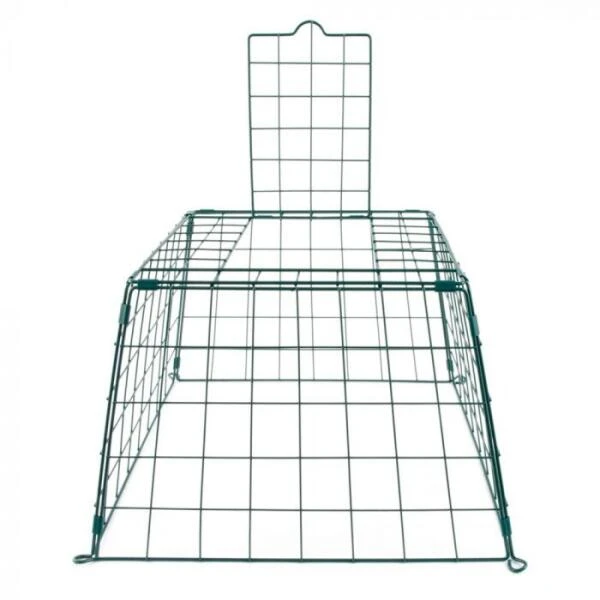 Beschermkooi Maxi Tuinvogels 56 Cm 3 Beschermkooi Maxi Tuinvogels 56 Cm