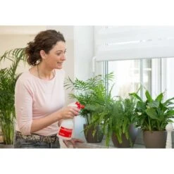 Birchmeier Foxy Plus 10 Birchmeier Foxy Plus -Tuindecoratie Winkel birchmeier foxy plus 1496510253 2 600