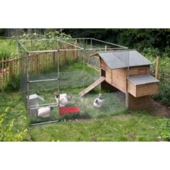 Buis Voor Fruitkooi/beschermkooi - 122 Cm Aluminium 9 Buis Voor Fruitkooi/beschermkooi - 122 Cm Aluminium -Tuindecoratie Winkel buis fruitkooi 122 cm aluminium 1517231624 3 600