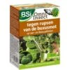 BSI Buxusmotrups Bestrijding - Omni Insect 20 Ml 2 BSI Buxusmotrups Bestrijding - Omni Insect 20 Ml -Tuindecoratie Winkel buxusmotrups bestrijding omni insect 20 ml 1557750692 1 600