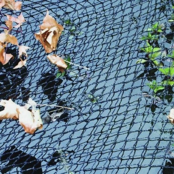 Fijnmazig Vijvernet 6 × 5 Meter 3 Fijnmazig Vijvernet 6 × 5 Meter