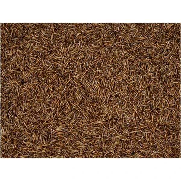 Emma's Garden Gedroogde Meelwormen - 500 G 4 Emma's Garden Gedroogde Meelwormen - 500 G - Afbeelding 2