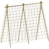 Groeinet Bonen En Erwten 1,8 × 1,8 M 2 Groeinet Bonen En Erwten 1,8 × 1,8 M -Tuindecoratie Winkel groeinet bonen 18 x 18 m 1531226378 2 600