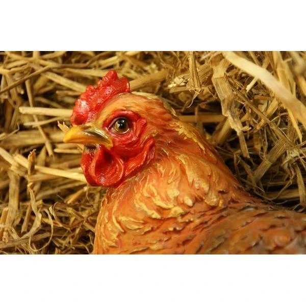 Zittende Kip BRUIN - Levensecht 4 Zittende Kip BRUIN - Levensecht - Afbeelding 2