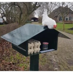 Nieuwsgierige Kip Tuinbeeld 11 Nieuwsgierige Kip Tuinbeeld -Tuindecoratie Winkel nieuwsgierige kip 1609930328 1 600