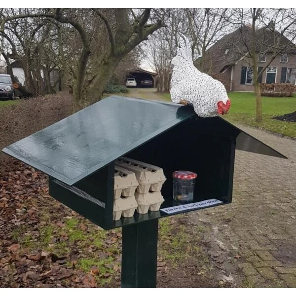 Nieuwsgierige Kip Tuinbeeld 7 Nieuwsgierige Kip Tuinbeeld - Afbeelding 5