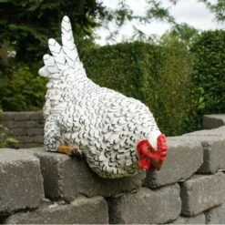 Nieuwsgierige Kip Tuinbeeld 9 Nieuwsgierige Kip Tuinbeeld -Tuindecoratie Winkel nieuwsgierige tafelkip 1568377839 3 600