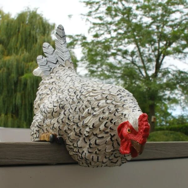 Nieuwsgierige Kip Tuinbeeld 6 Nieuwsgierige Kip Tuinbeeld - Afbeelding 4