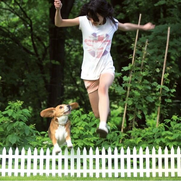 Perkhekjes Wit - 350 Cm 3 Perkhekjes Wit - 350 Cm