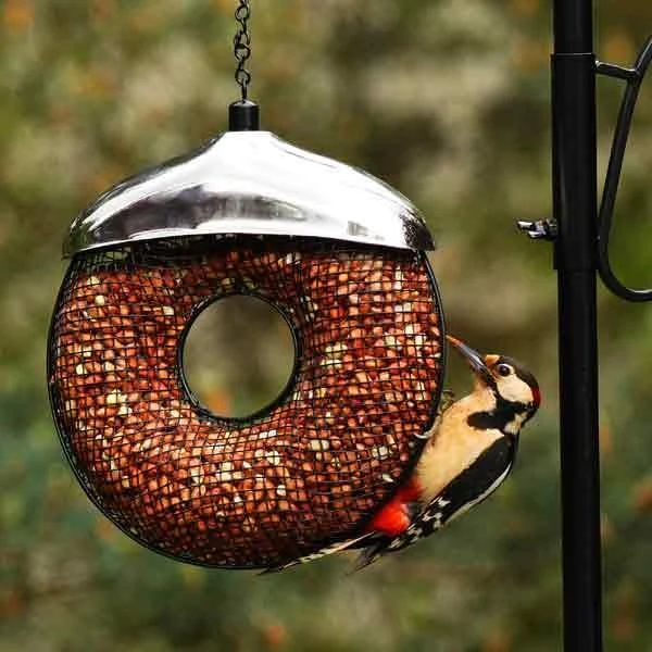 Donut Voederring Pindanoten 3 Donut Voederring Pindanoten