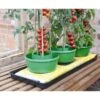 Plant- En Gietpot Groen - Set Van 3 Stuks 1 Plant- En Gietpot Groen - Set Van 3 Stuks -Tuindecoratie Winkel plant en gietpot 1484054799 1 600