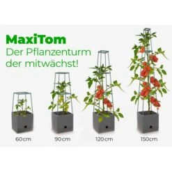 Plantentoren Maxitom Met Waterreservoir - Antraciet -Tuindecoratie Winkel plantentoren maxitom antraciet 1677571236 4 600