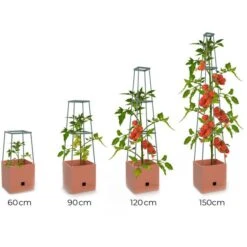 Plantentoren Maxitom Met Waterreservoir - Terracotta -Tuindecoratie Winkel plantentoren maxitom terracotta 1680165024 1 600