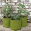 Plantzakken 10 Liter Vigoroot - Set Van 3 Stuks 1 Plantzakken 10 Liter Vigoroot - Set Van 3 Stuks -Tuindecoratie Winkel plantzakken 10 liter vigoroot 1487757117 0 600