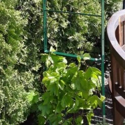 Rozenboog Massief Met Klimhulp 150 × 40 × 230 Cm 10 Rozenboog Massief Met Klimhulp 150 × 40 × 230 Cm -Tuindecoratie Winkel rozenboog massief klimhulp 150 x 40 x 230 cm 1559385625 1 600