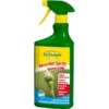 Ecostyle Savo-Net Spray Insecticide Tegen Luizen - 750 Ml 2 Ecostyle Savo-Net Spray Insecticide Tegen Luizen - 750 Ml -Tuindecoratie Winkel savonet spray insecticide 750 ml 1594991347 1 600