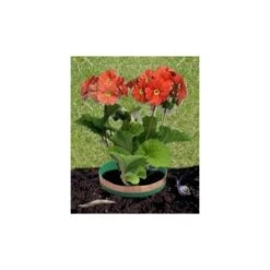 Tuindecoratie Winkel -Tuindecoratie Winkel slakkenringen koper 1484053248 2 600