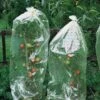 Tomatenhoezen 10 × 0,65 M -Tuindecoratie Winkel tomatenhoezen 10 x 065 m 1484053065 1 600