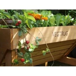 Vegtrug Verhoogde Kweektafel - 1 × 0,8 × 0,8 M 9 Vegtrug Verhoogde Kweektafel - 1 × 0,8 × 0,8 M -Tuindecoratie Winkel vegtrug 1 m 1484054491 4 600