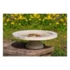 Vogelbad Op Voet 'Shenstone Theatre' Ø 44,5 Cm 2 Vogelbad Op Voet 'Shenstone Theatre' Ø 44,5 Cm -Tuindecoratie Winkel vogelbad shenstone theatre 1620809242 1 600