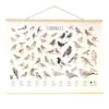 Wanddoek Tuinvogels 2 Wanddoek Tuinvogels -Tuindecoratie Winkel wandkaart tuinvogels 1541511363 1 600