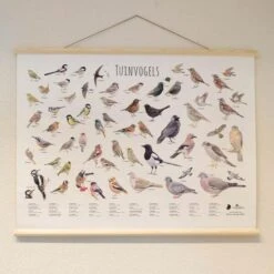 Wanddoek Tuinvogels 7 Wanddoek Tuinvogels -Tuindecoratie Winkel wandkaart tuinvogels 1541600712 1 600
